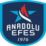 Anadolu Efes logo
