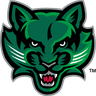 Binghamton Bearcats logo