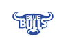 Bulls logo