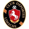 CD Limache logo