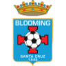 Blooming logo