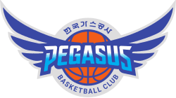 Daegu Pegasus logo