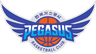 Daegu Pegasus logo