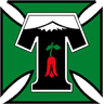 Deportes Temuco logo