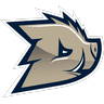 Dziki Warszawa logo