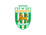 FK Karpaty Lviv logo