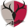 Kashima Antlers logo