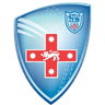New South Wales Breakers logo