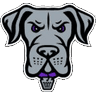 Philadelphia Waterdogs logo