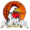 San Martín de Corrientes logo