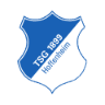 Hoffenheim logo