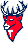 Torpedo logo