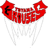 Toyama Grouses logo