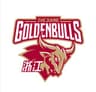Zhejiang Golden Bulls logo