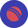 Delhi Capitals logo