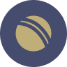 Gujarat Titans logo