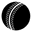 DELHI PREMIER LEAGUE logo