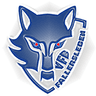 VFB Fallersleben logo