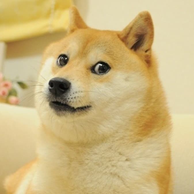 Will the Twitter home button still be DOGE on Friday? market image