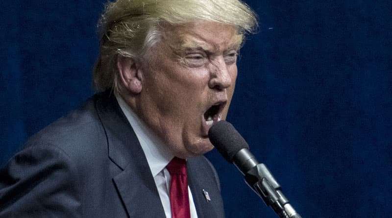 Will @realDonaldTrump tweet by June 30? market image