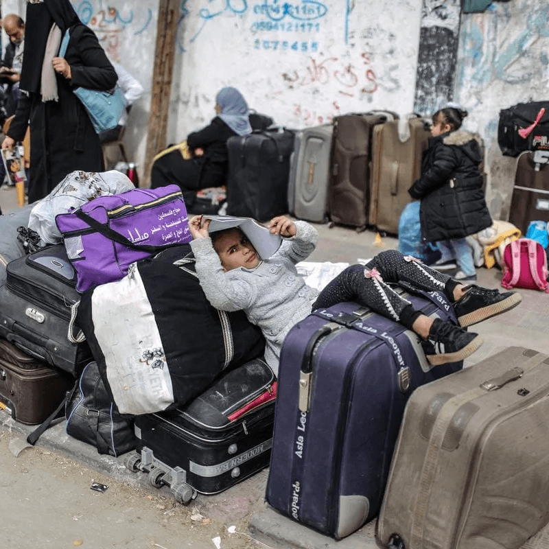 Will Egypt open its border for Palestinian refugees by Oct 20? market image
