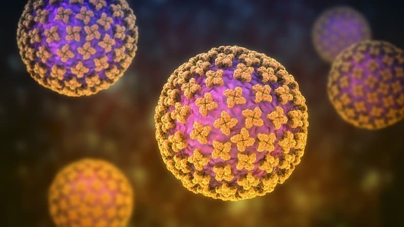 Hantavirus pandemic in 2026? market image