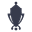 AUSTRALIA CUP logo