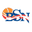 BSN logo