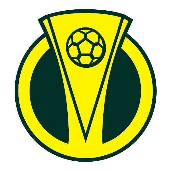 BRASILEIRÃO SÉRIE C logo