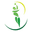 PAKISTAN SUPER LEAGUE logo