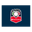 LIGA MEXICANA DE BÉISBOL logo