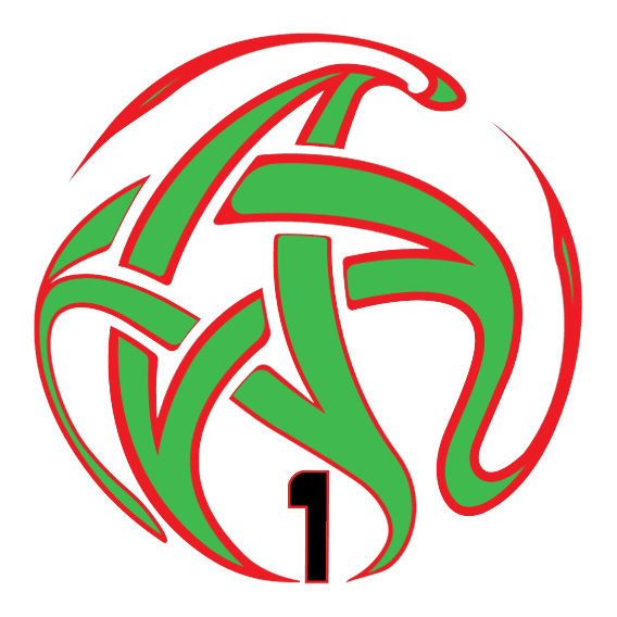 BOTOLA PRO logo