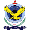 Al Quwa Al Jawiya logo
