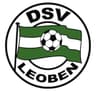 DSV TGI Gold Leoben logo