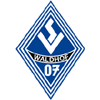 SV Waldhof Mannheim 07 logo