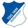 TSG Hoffenheim II logo