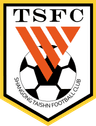 Shandong Taishan FC logo