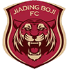 Ningbo Professional FC logo