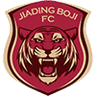 Ningbo Professional FC logo