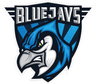 BLUEJAYS.de logo