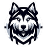 Huskies eSport logo