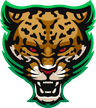 Rush logo