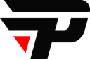 paiN logo