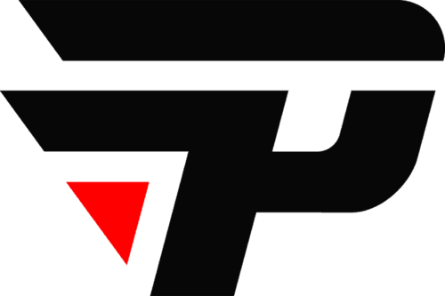 paiN logo