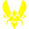 Vitality Academy logo