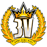 3v Team logo