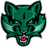 Binghamton Bearcats logo