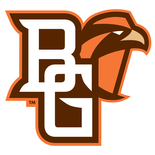 Falcons logo