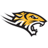 Towson logo