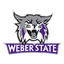 Wildcats logo